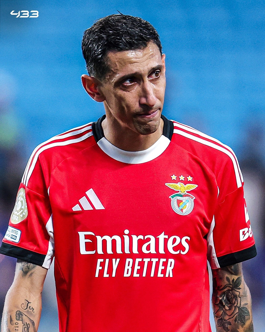 本菲卡赛前内部沟通；志在亚冠名次提升；媒体盛赞；训练强度明显提升(葡超本菲卡最新比赛)